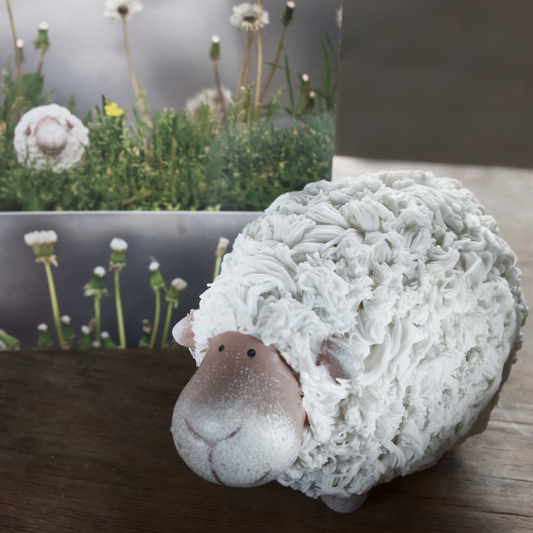 Top 10 Ways to Use Lanolin