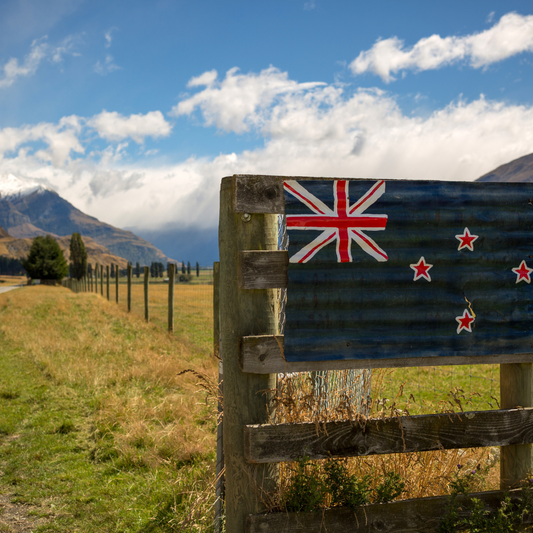 Lanolin: Nature’s Secret Guardian From New Zealand
