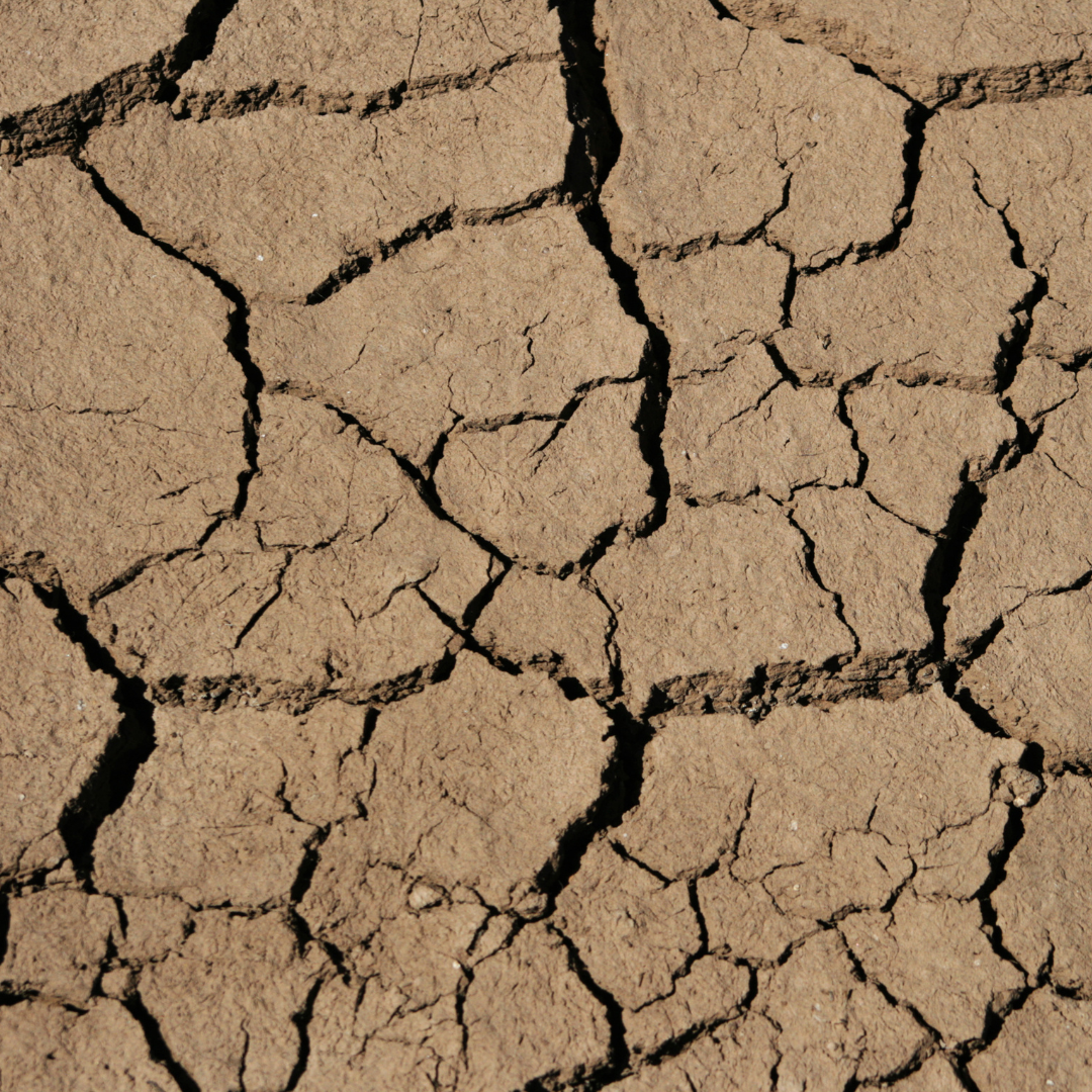 Home Remedies to Prevent and Soften Dry Cracked Heels
