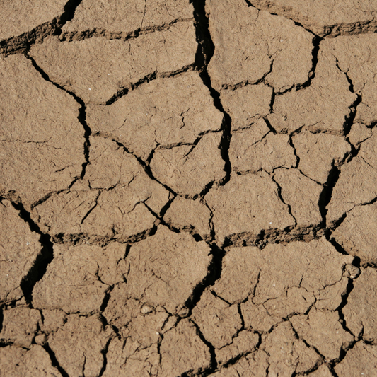Home Remedies to Prevent and Soften Dry Cracked Heels